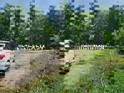 Đất cây hàng năm, HXH kế UB xã Thái Mỹ