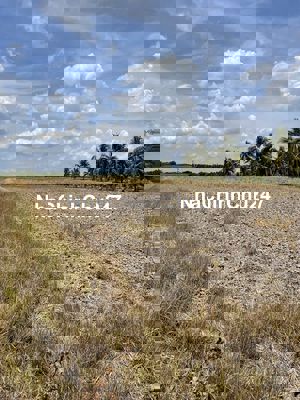 BÁN ĐẤT NỀN VIEW SÔNG–NHÌN LANDMARK 81,PHÚ ĐÔNG, NHƠN TRẠCH, ĐỒNG NAI