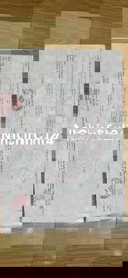 đất trồng cây lâu năm can người có thiện chí