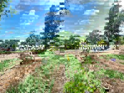 Bán đất MT đường nhựa ô tô tải tới đất. 2,7 ha, 16 tỷ, cách QL62 3km