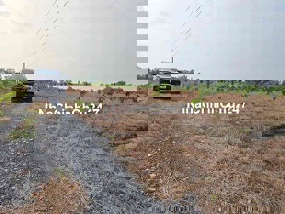 1066m2 đg ô tô dt đẹp nền cao đã lên mô hình trồng cây