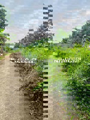 Bán đất 10*23, hẻm xe hơi, cách ngã 4 dầu giây 5km và KCN dầu giây 2km