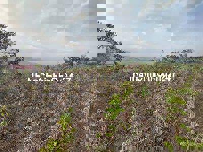 Cần bán đất sào thôn 5b Xã Gia Hiệp Huyện Di Linh