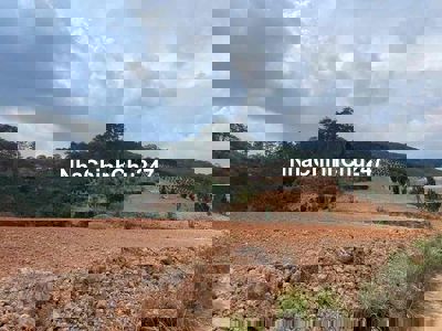 Cần tiền gấp bán nhanh lô đất 2000m2 tại xuân thọ cắt lỗ 50% giá 310tr