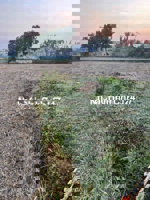 ĐẤT ĐỦ GIẤY TỜ - XÃ LONG HIỆP, BẾN LỨC, LONG AN