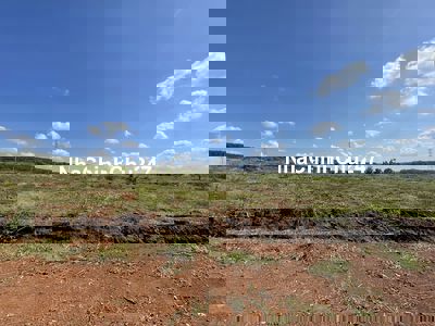 🌿 BÁN GẤP LÔ ĐẤT VƯỜN – GIÁ RẺ – SỔ RIÊNG – LONG HÀ, PHÚ RIỀNG 🌿