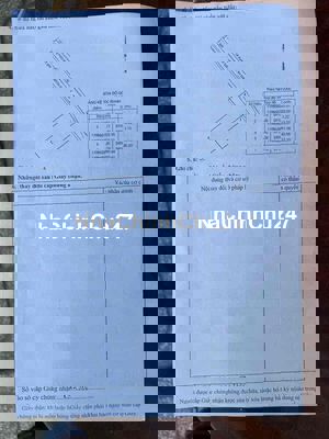 🌈BÁN ĐẤT THUỘC BÀ ĐIỂM 12,3m X 42m SỔ RIÊNG SẴN