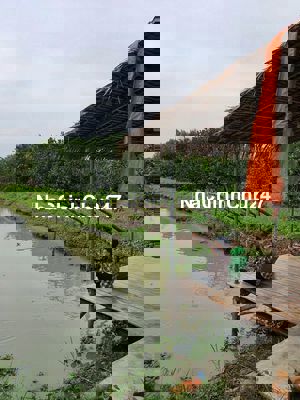 Bán đất vườn trồng cây ăn quả tại huyện Thống Nhất, Đồng Nai