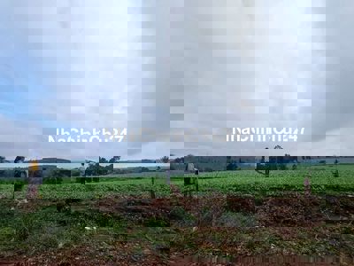 Cấn bán gấp miếng đất 1200m2 lấy tiền kinh doanh