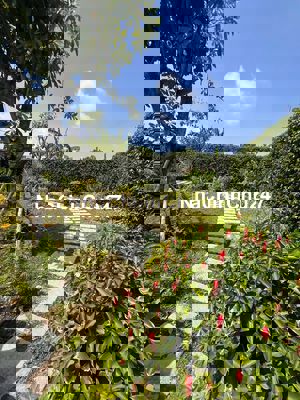 CHÍNH CHỦ GỬI BÁN LÔ ĐẤT DIỆN TÍCH SD 252M2, 1 TRỆT 2 LẦU