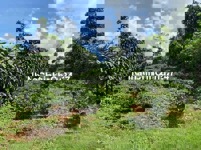 cần bán đất xây nhà ở Đambri Bảo Lộc