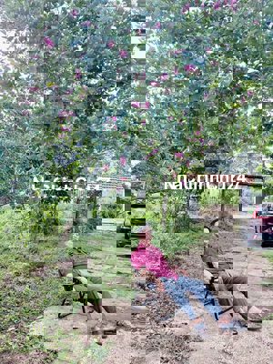 Đất Nông Nghiệp - 6000m2 - Khu Cấp Rang, P. Suối Tre, TP. Long Khánh