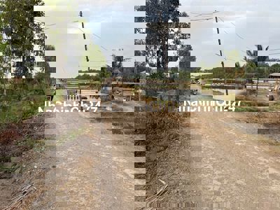 Đất lúa Óc Đảo Long Hựu 4354m2 mt Kênh view sông Vàm Cỏ rẻ