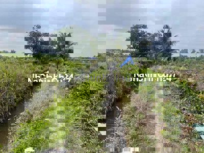 500m2 vườn đg đá xanh 3m ô tô ngay đất