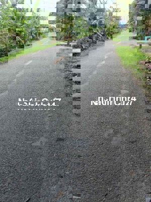 Bán đât vườn dừa Ba Tri