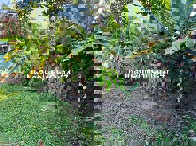 Bán lô đất 150m2 (10x15m) hẻm 153 Đường Nam Cao, P.Tân Phú, TP Thủ Đức