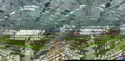 Cần bán farm trồng rau thuỷ canh công nghệ cao tại Bình Chánh