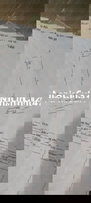 Bán gấp đất cây lâu năm