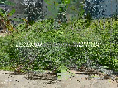 Bán đất vĩnh hưng hoàng mai xung quanh xây nhà dày đặc