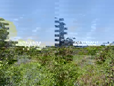 Cần bán đất lúa 2970m2 tại Phước Lại, giá siêu rẻ, cách Q1 chỉ 20km