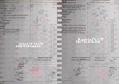 Đất NN Hiệp Phước Nhà Bè