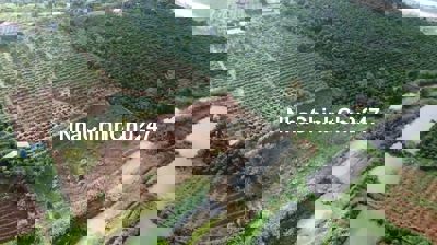 Đất vườn đẹp Lâm Hà