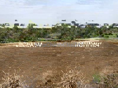 Đất Suối Nho, Định Quán, Đồng Nai, Sát Suối 12m