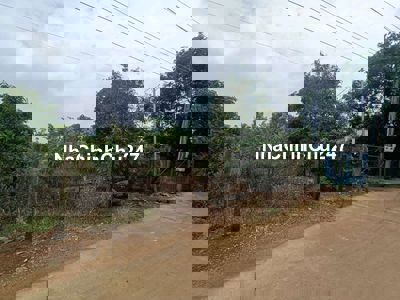 Bán gấp 3000m2 vườn trái cây giá 160đ