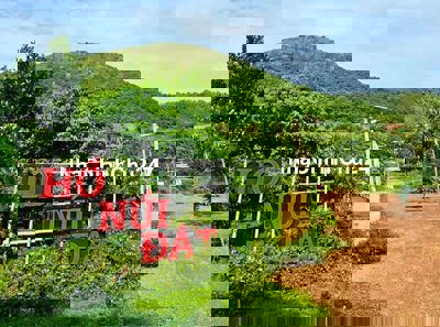 Bán gấp 15000m2 view hồ núi đất cực Chill, xã Tân Tiến, TX LaGi.Giá rẻ