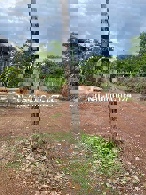 TIN NÓNG – CHỈ 449 TRIỆU / GÓC 2 MẶT TIỀN / 1103M²