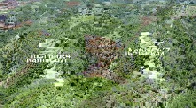 Cắt lỗ bán nhanh 2 sào đất đỉnh đồi view siêu đẹp giá 666tr ở Tân Lạc