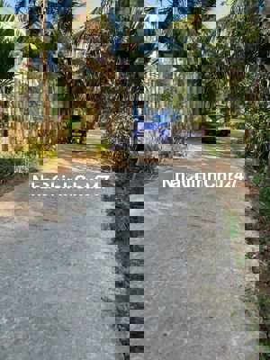 Vườn đẹp Phú Túc Châu Thành 1,6 công