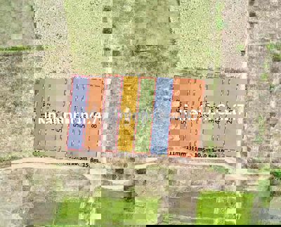 Cần bán sỉ 6 lô thị trấn eakar daklak chỉ 130 triệu