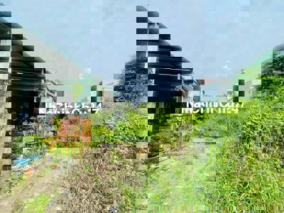 CHÍNH CHỦ GỬI EM LÔ ĐẤT 131M2 TÂN PHÚ TRUNG CỦ CHI SHR CẦN BÁN LỖ