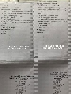 12313m2 đất vườn MT Kênh Rạch Bần (104x124) DT816 chỉ 600m Giá 19,5 tỷ