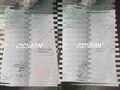 đất trồng cây lâu năm , diện tích 5307m2