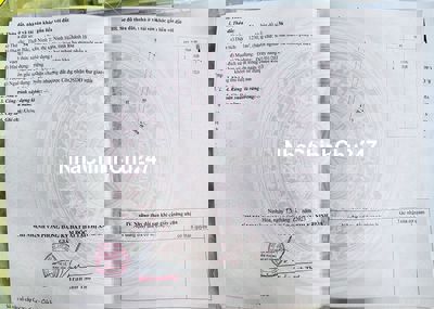 Đất cây lâu năm ở Ninh Tân