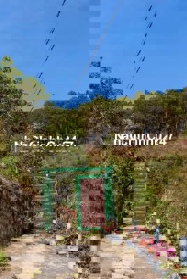 Bán đất tặng homstay