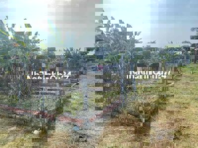 Ha 200tr. Bán Đất 4*19,5m Đương Thới Hoà Vĩnh Lộc A