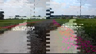 Bán 1000m2 đất Nông nghiệp sát UBND xã Long Sơn,Cần Đước,Long An