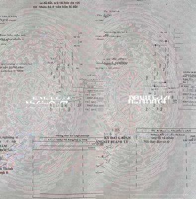 Đất chính Chủ 4x16m MT đường 7m. Giá giảm còn 1,65 tỷ