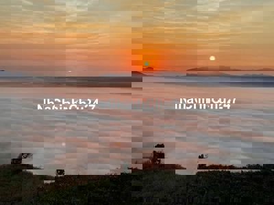 BÁN 12ha TRANG TRẠI CHÈ KẾT HỢP DU LỊCH TRÊN NÚI ĐẠI BÌNH BẢO LỘC