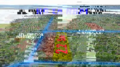 2,2 sào 2 mặt đường nhựa Km17 Quốc Lộ 26 sát đường HCM 2,2 tỷ