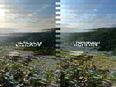 CẦN BÁN 1 SÀO ĐẤT VIEW ĐỒI, GIÁP SUỐI SIÊU ĐẸP