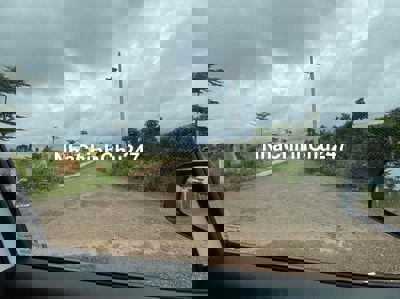 bán 2ha vườn cà phê mt đường nhựa 21, cà phê đang chăm tốt,