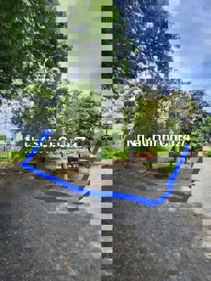 Đất 3MT ấp Rừng Dầu Tân Mỹ Long An