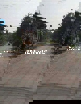 ĐẤT 1,4 HA SAU LƯNG BỆNH VIỆN XUYÊN Á