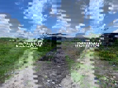 Đất Sào HNK Tại Xã Phan DMC Tây Ninh