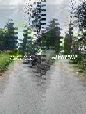 BÁN RẺ ĐẤT NÔNG NGHIỆP 1.6HA XÃ TÂN NHỰT