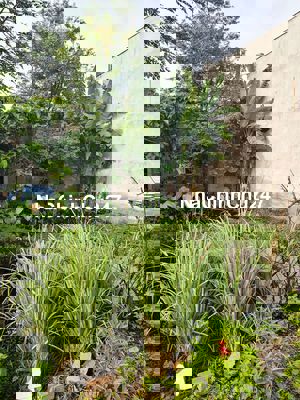 đất kdc đồng doanh ấp 69 vĩnh lộc A. Đất  khu dân cư mới . 4x12